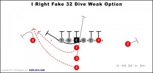 I Right Fake 32 Dive Weak Option