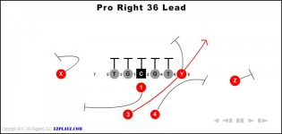 Pro Right 36 Lead