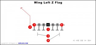Wing Left Z Flag