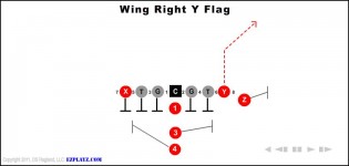 Wing Right Y Flag