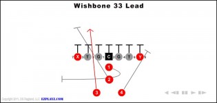 Wishbone 33 Lead