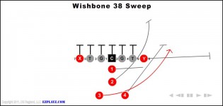 Wishbone 38 Sweep