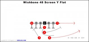 Wishbone 48 Screen Y Flat