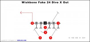 Wishbone Fake 24 Dive X Out