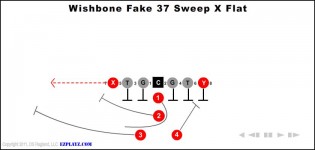 Wishbone Fake 37 Sweep X Flat
