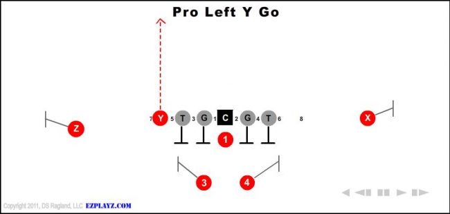 pro-left-y-go-youth-football-play