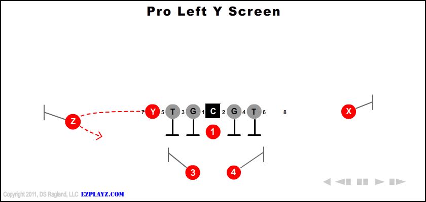 pro-left-y-screen-youth-football-play