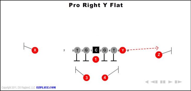 pro-right-y-flat-youth-football-play