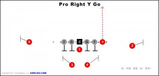 pro right y go 315x150 - Pro Right Y Go