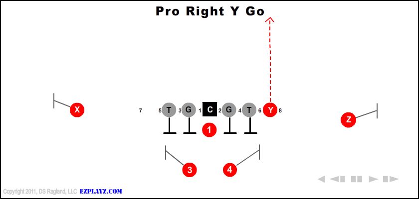 Pro Right Y Go