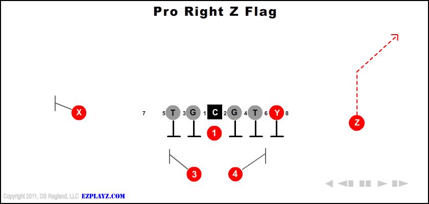 Pro Right Z Flag