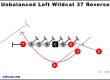 unbalanced-left-wildcat-37-reverse-youth-football-play
