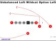 unbalanced-left-wildcat-option-left-youth-football-play